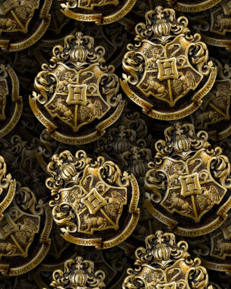 Hogwarts Medallion 22