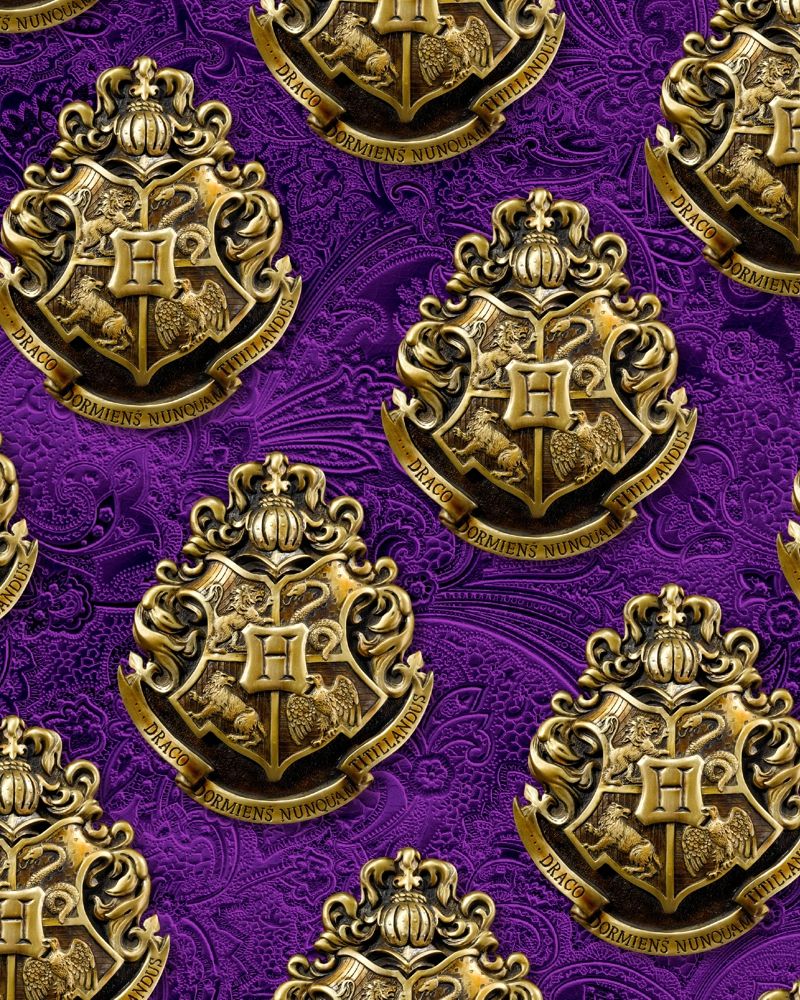 Hogwarts Medallion 33