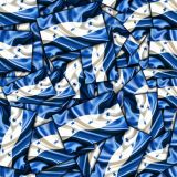 Honduras-Waving-Flag.jpg