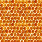 Honeycomb-22.jpg