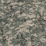 Honor-The-Fallen-22.jpg