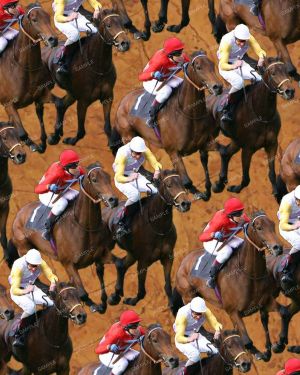 Horse Racing 23