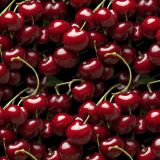Hot-Cherries-Bright-Lights.jpg