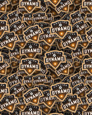 Houston Dynamos 22