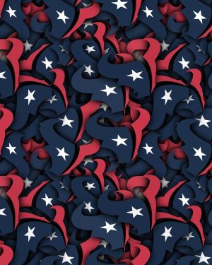 Houston Texans