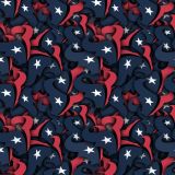 Houston-Texans.jpg