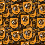Hull-City.jpg