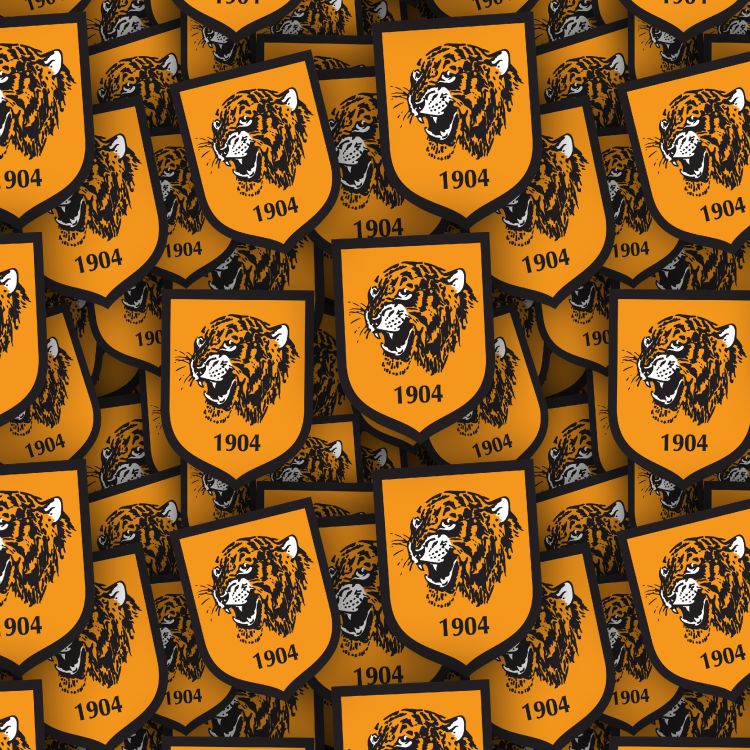 Hull City