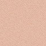 Human-Skin-32-thumb.jpg