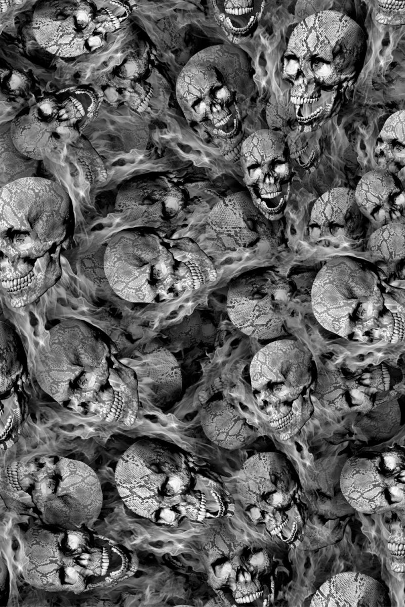 Human Snake Skulls on Fire 23