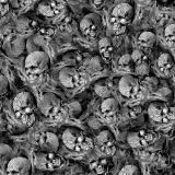 Human-Snake-Skulls-on-Fire-23.jpg