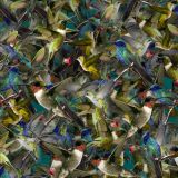Hummingbirds-22-thumb.jpg