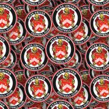 Hyde-United-FC.jpg