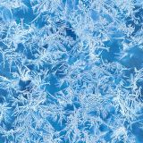 Ice-Crystals-22.jpg