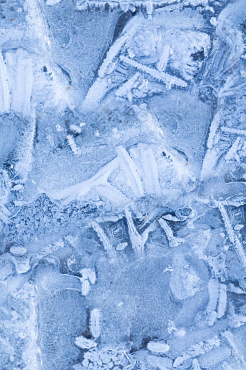Icy Ground 22