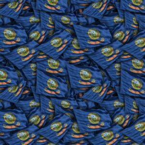 Idaho State Flag