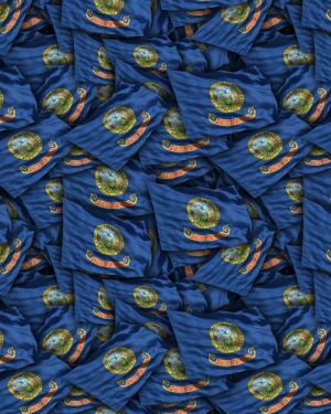 Idaho State Flag