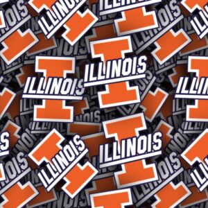 Illinois University