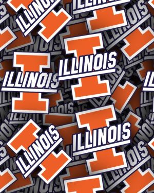Illinois University