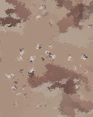 Improved Disruptive Arid Terrain Camouflage