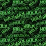 Incredible-Hulk-21.jpg