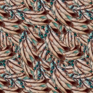 Indian Feathers 22