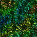 Ink-Splats-32.jpg