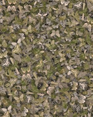 Insect 22 Camouflage