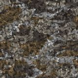 Insect-Camo-23.jpg