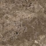 Interference-22-Camo-thumb.jpg