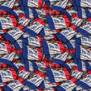 Iowa State Flag