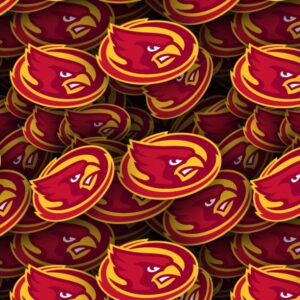 Iowa State University Cardinals