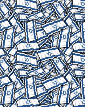 Israel Flag 24