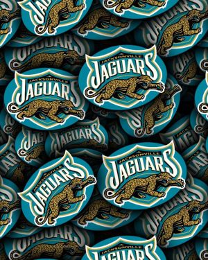 Jacksonville Jaguars 22