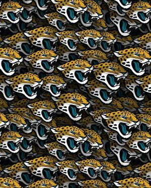 Jacksonville Jaguars 23