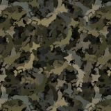 Japan-Camo.jpg