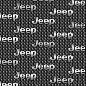 Jeep Carbon Fiber