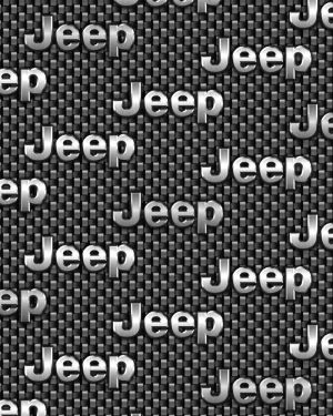 Jeep Carbon Fiber