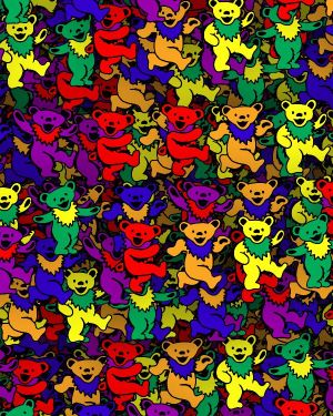 Jerry Bears 24