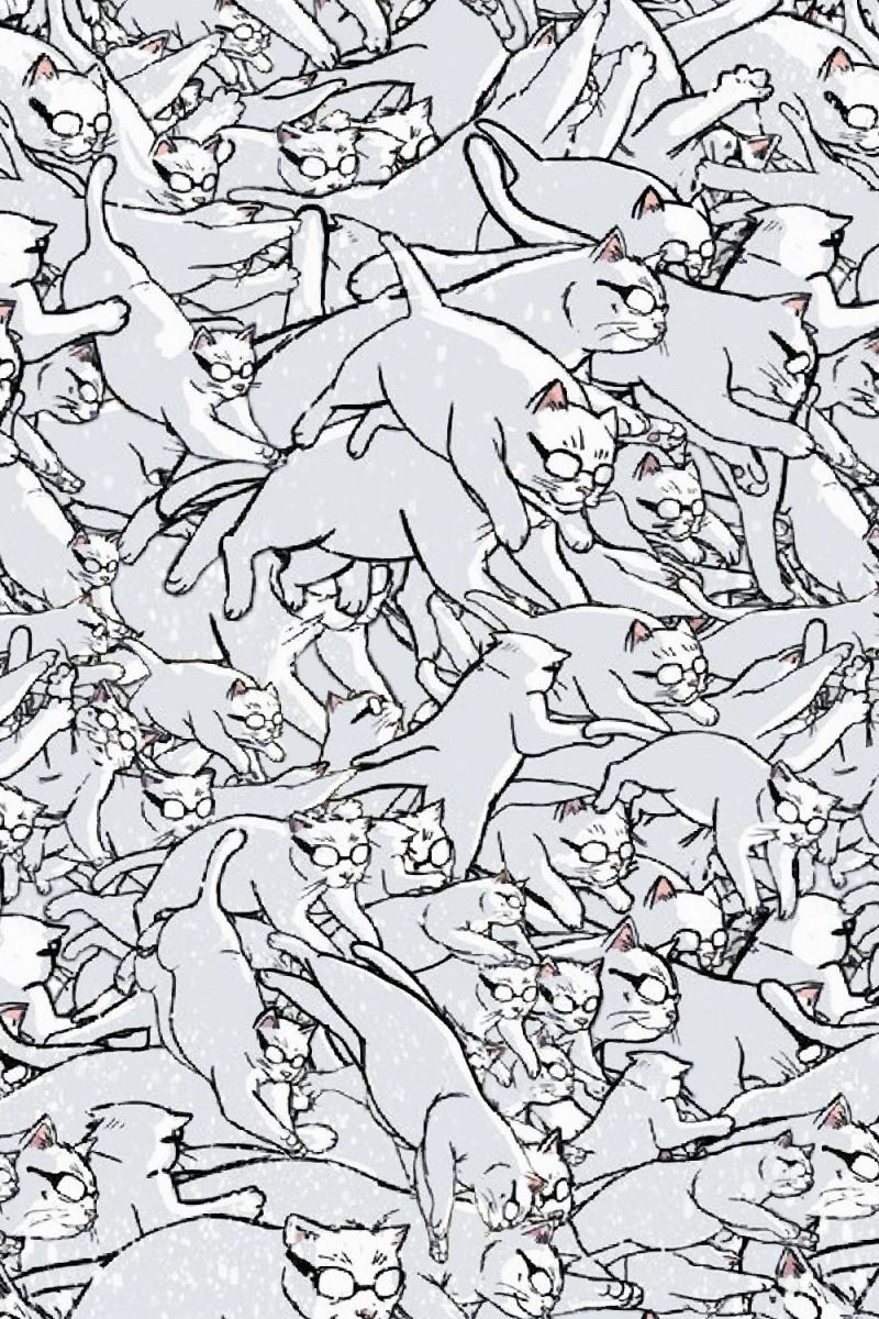 Jumping Cats