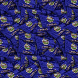 Kansas State Flag