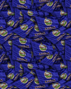 Kansas State Flag