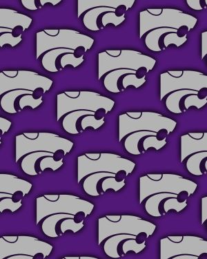 Kansas State University PowerCats