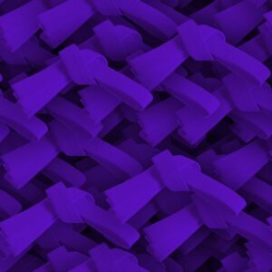 Karate Belt Purple