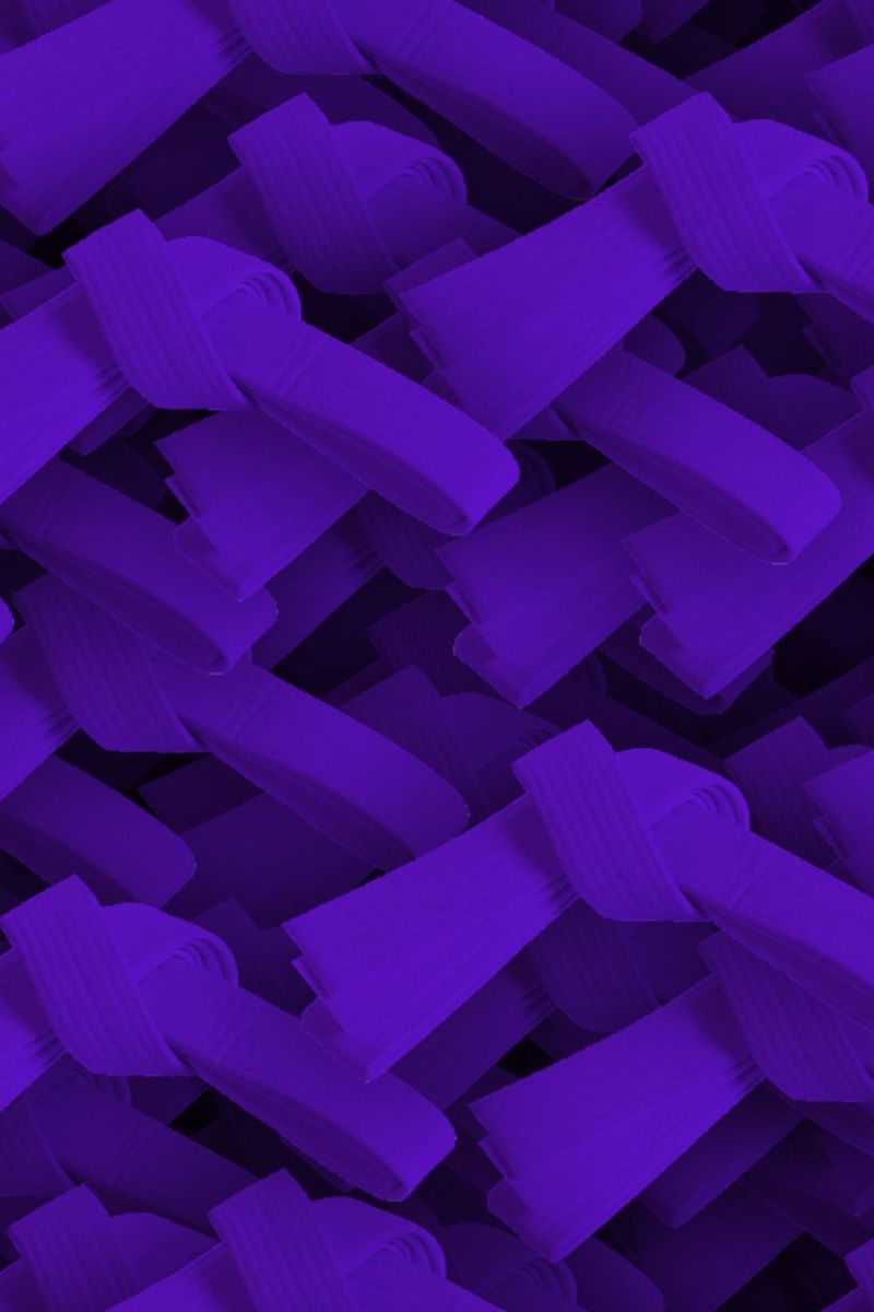 Karate Belt Purple