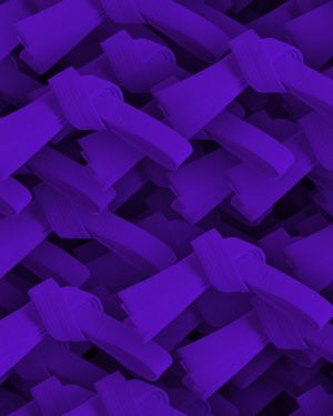 Karate Belt Purple