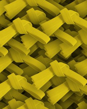 Karate Belt Yellow