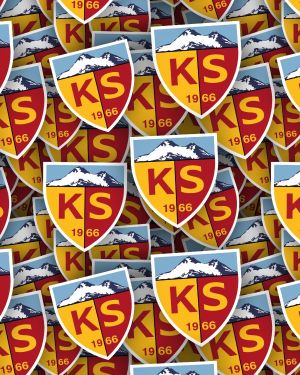 Kayserispor