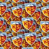 Kayserispor.jpg