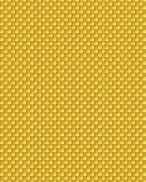 Kevlar Carbon Fiber 42